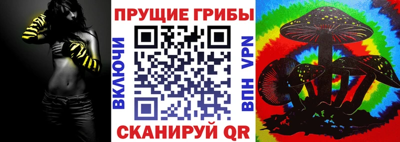 Псилоцибиновые грибы Magic Shrooms  Купить  Новокузнецк 